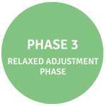 phase 3
